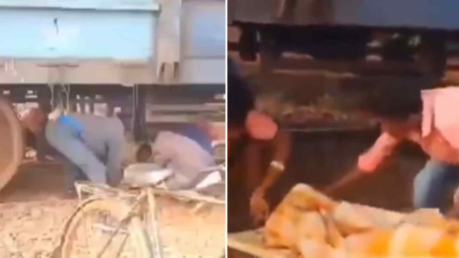 Watch: Jharkhand Family Crosses Railway Track Under Cargo Train With Patient on Stretcher