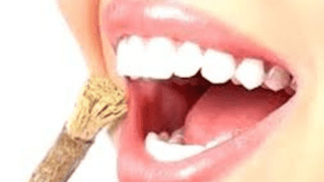 Karanja Twigs For Dental Care: Ayurvedic Expert Explains How They Strengthen Teeth