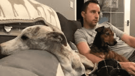 ‘Killing Pets For Money’: UK Vet Killed Himself Over ‘Rich Clients’ Choices