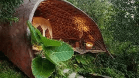 ‘Luxurious Tree House’: Rajasthan Farmer Took 10 Years To Make It | WATCH