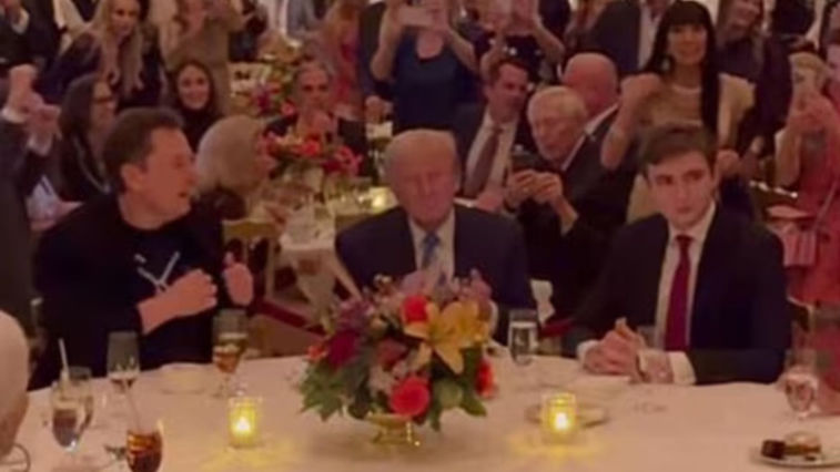 Elon Musk and Barron Trump’s Viral Thanksgiving Chat: What They Discussed | WATCH