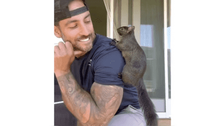 ‘Peanut The Squirrel’: Social Media Sensation Seized by New York Officials, Why?