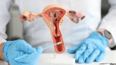 Remove Uterus at 30: Japan Leader’s Bold Birth Rate Solution | WATCH