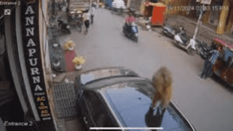 Sunroof Smashed! Monkey Jumps Onto Parked Car In Varanasi