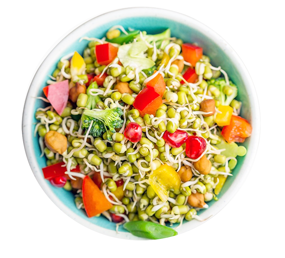 Rediscovering Rajasthan’s Culinary Heritage: Harnessing Traditional Grains for Nutritious, Wholesome Meals