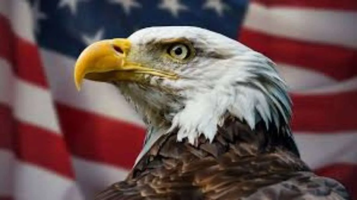 Biden Declares Bald Eagle The National Bird Of The U.S: Corrects 240-Year Gap