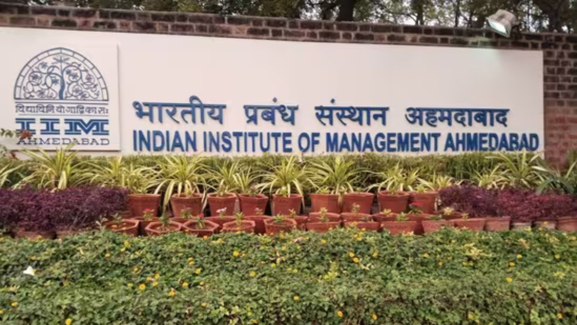 CAT 2024 Results Announced: IIM Ahmedabad MBA Admissions Open; Eligibility and Selection Process Explained