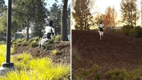 Elon Musk’s Tesla ‘Drunk’ Robot Struggles To Walk On Slopes | WATCH