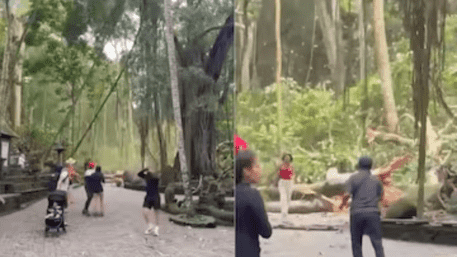 Giant Tree Crushes Tourists in Bali’s Sacred Monkey Forest: 2 Dead, Several Injured | WATCH