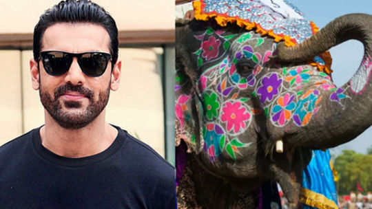 John Abraham Urges Nepal To Cancel Chitwan Elephant Festival For Ethical Tourism