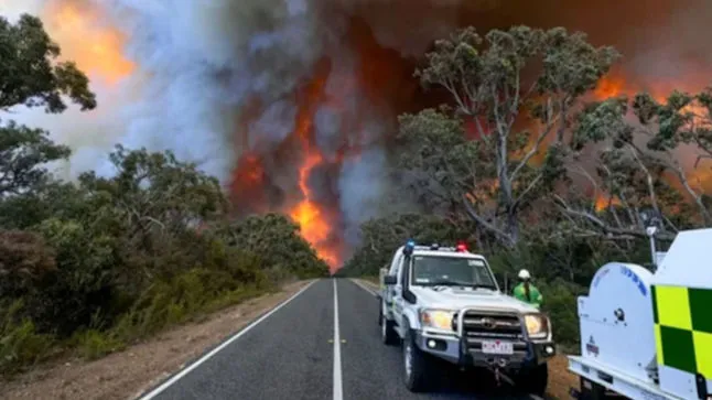 Victoria’s Bushfire Crisis: Grampians Blaze Spreads Across 360 km Perimeter