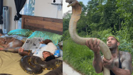 ‘Me And My Ex’: Man Shares Bed With Massive Python And Reads Book | WATCH