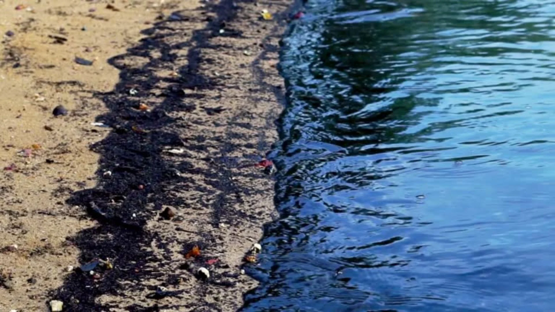 Oil Spill Crisis: Emergency Declared As Black Sea Oil Spill In Russian Resort Town