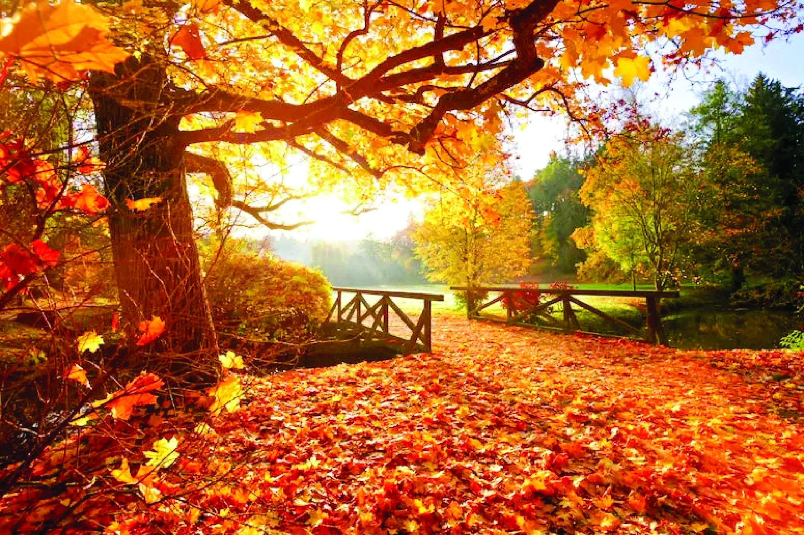 The balance of seasons and society