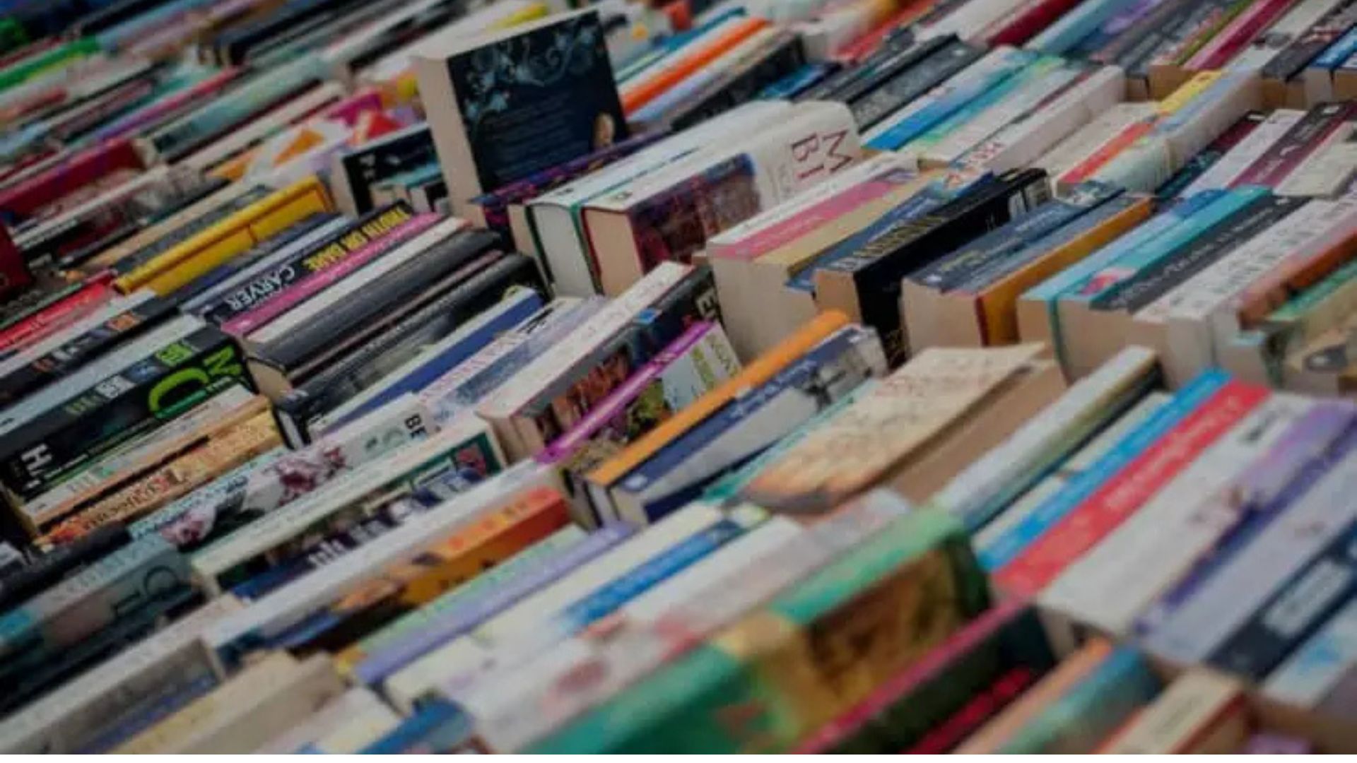 NCERT Announces 20% Price Cut on Textbooks for Classes 9-12 for Upcoming Academic Year