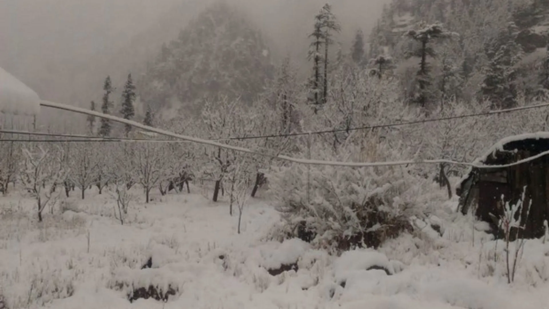 Uttarakhand: Snowfall Graces High-Altitude Regions In Uttarkashi