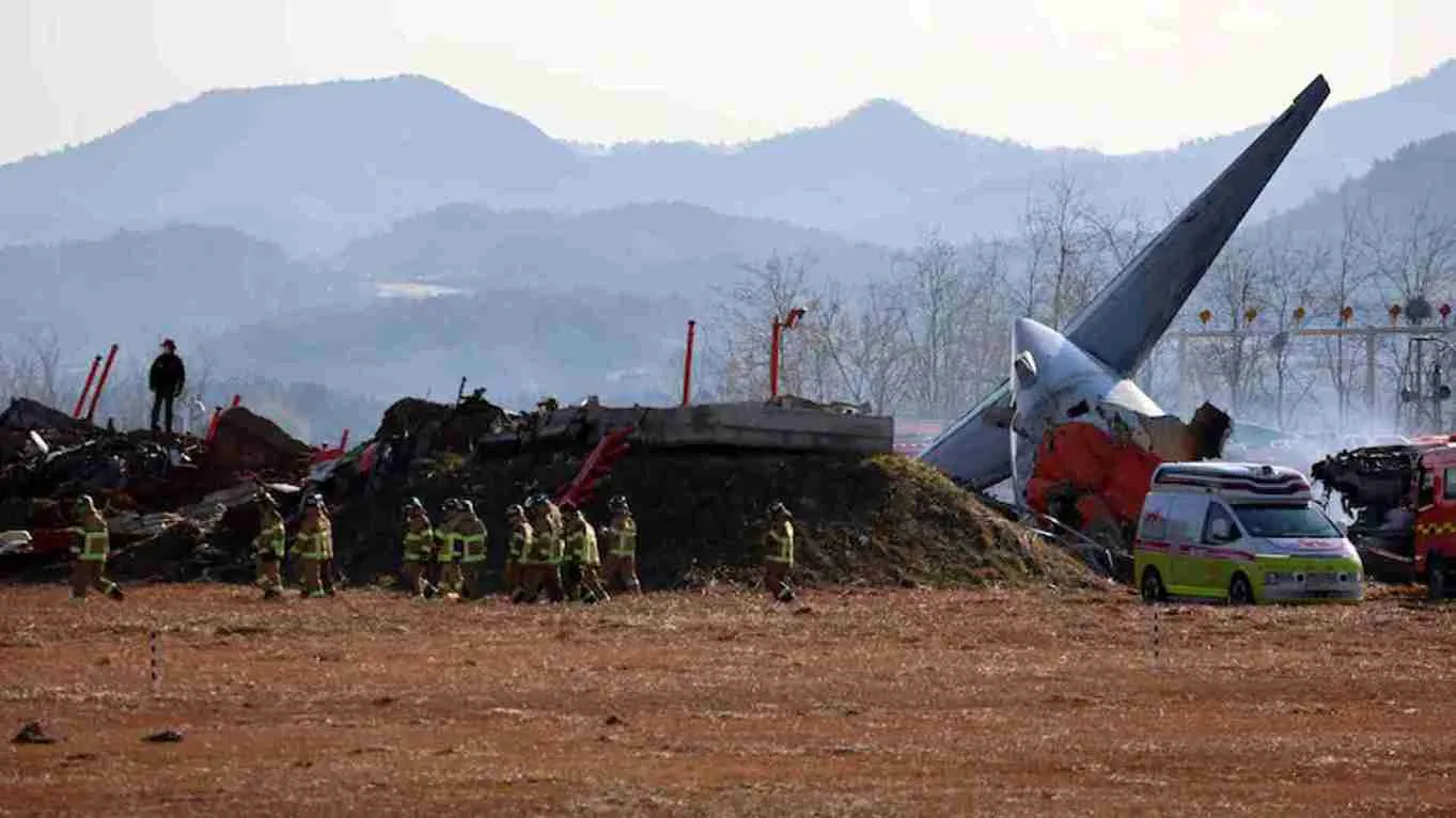 South Korea Plane Crash: How a Bird Hit And Gear Failure Led To Tragedy