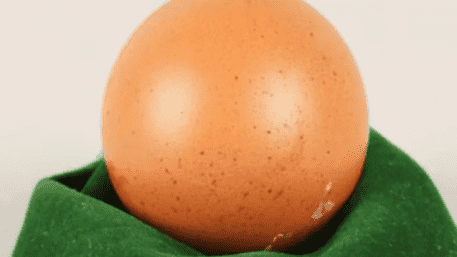 UK Auction: Rare Round Egg Sold For Rs 21,000