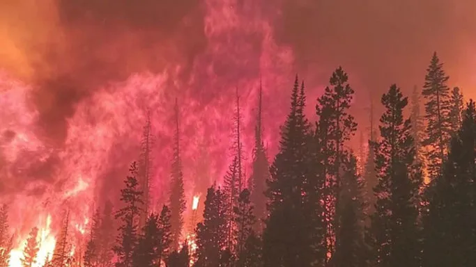Victoria Faces Bushfire Danger Ahead of Christmas, Residents Evacuated