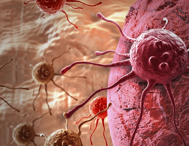 Tumor Stiffness: A Key Driver of Cancer Growth Uncovered by Scientists