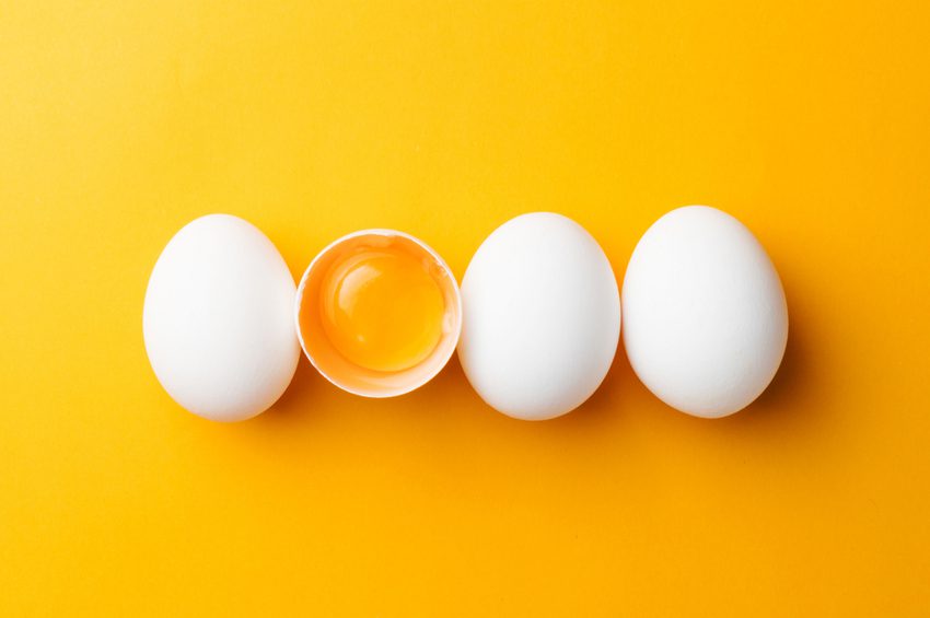 Study Finds No Link Between Moderate Egg Intake and Obesity
