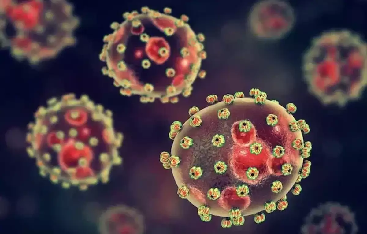 Deadly Lassa Fever Outbreak: Nigeria’s Battle to Stop the Spread