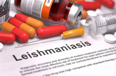 Cracking the Code: New Hope for Leishmaniasis Treatment
