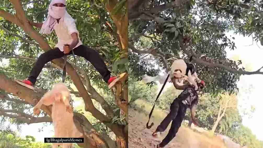 Bihar Man Ties Dog To Tree, ‘Kicks And Swings’ It For Stunt | WATCH