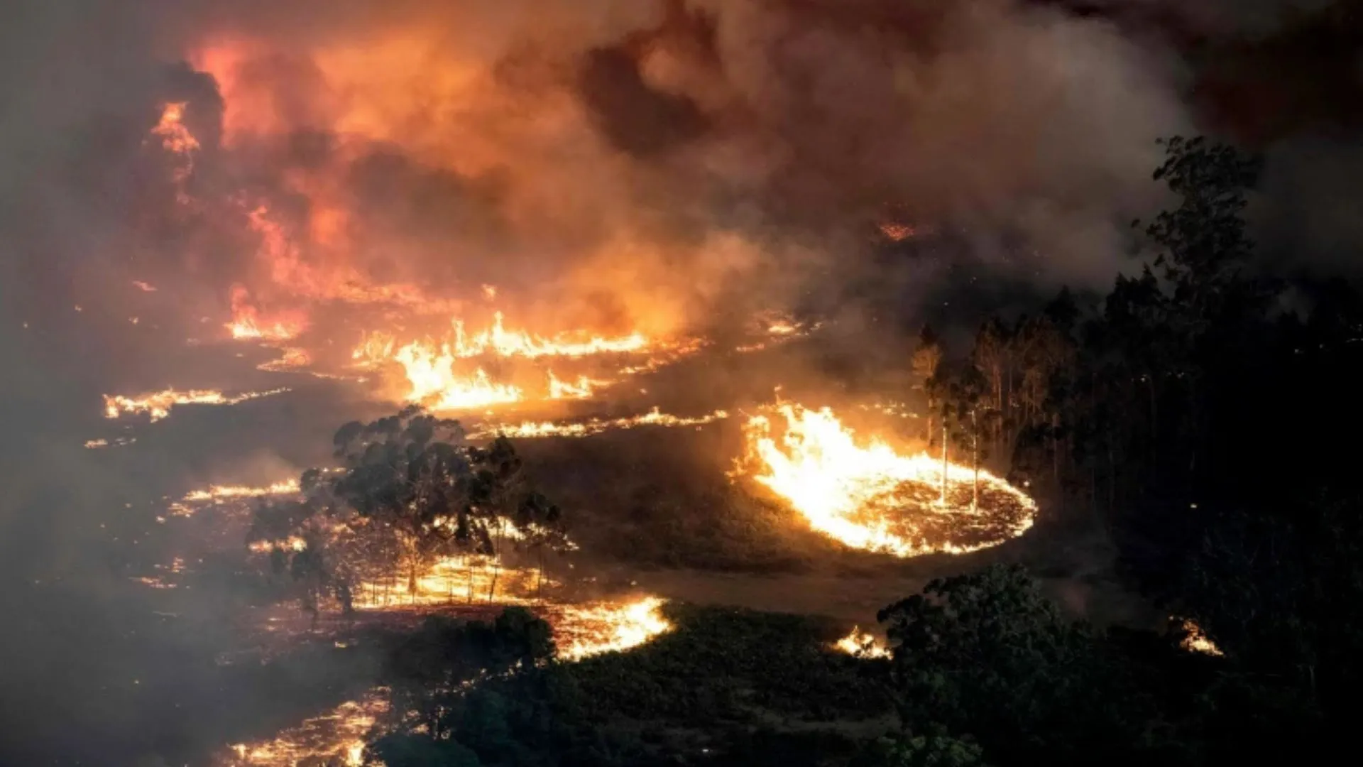 Bushfires Devastate Western Australia as Thousands Urged to Stay Amid Escalating Crisis