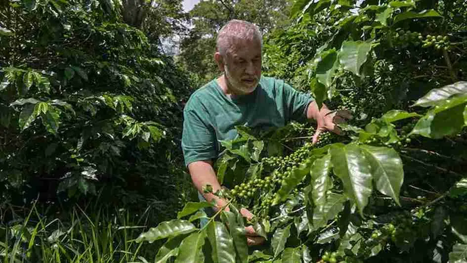 Coffee Lovers Beware! Brazil’s Climate Woes Stir Global Price Hikes