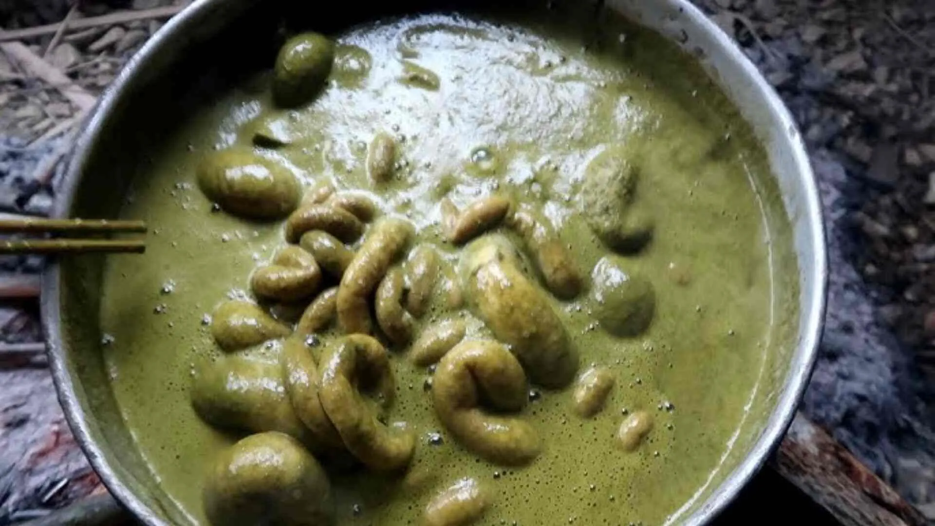 ‘Cow Poop Soup’: Winter Wonder Drink or Simply Poison?