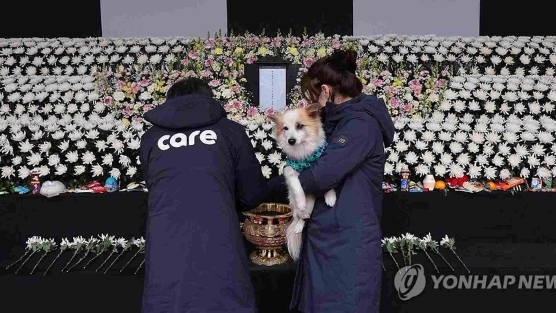 Jeju Air Crash: Dog Survives Plane Crash, Mourns 80-Year-Old Owner and 8 Family Members in South Korea