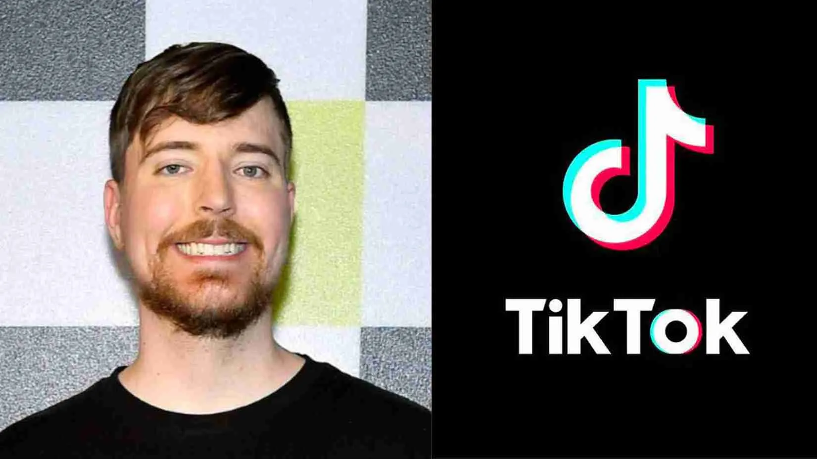 Elon Musk TikTok Takeover? MrBeast Joins The Race: ‘I’ll Do It’