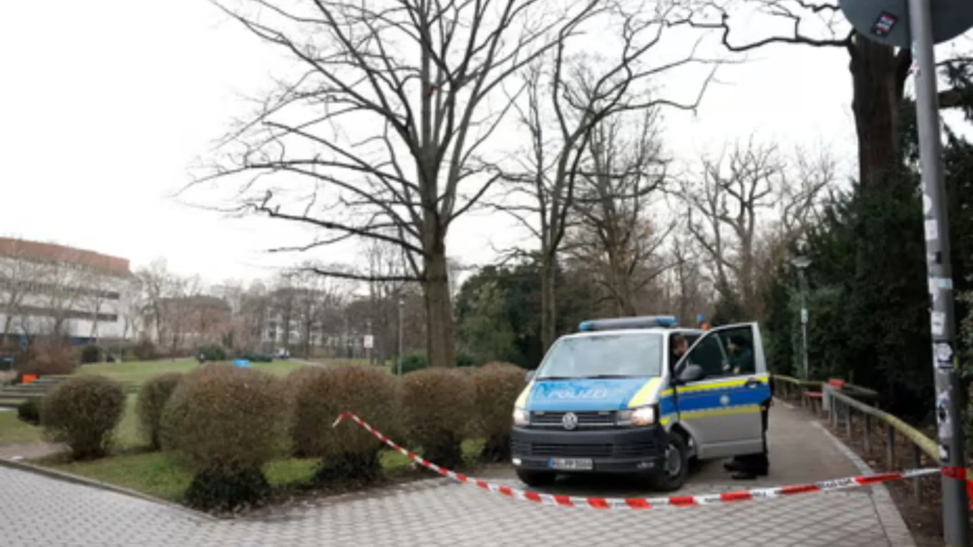 Germany: Afghan Suspect Arrested After Deadly Knife Attack in Park