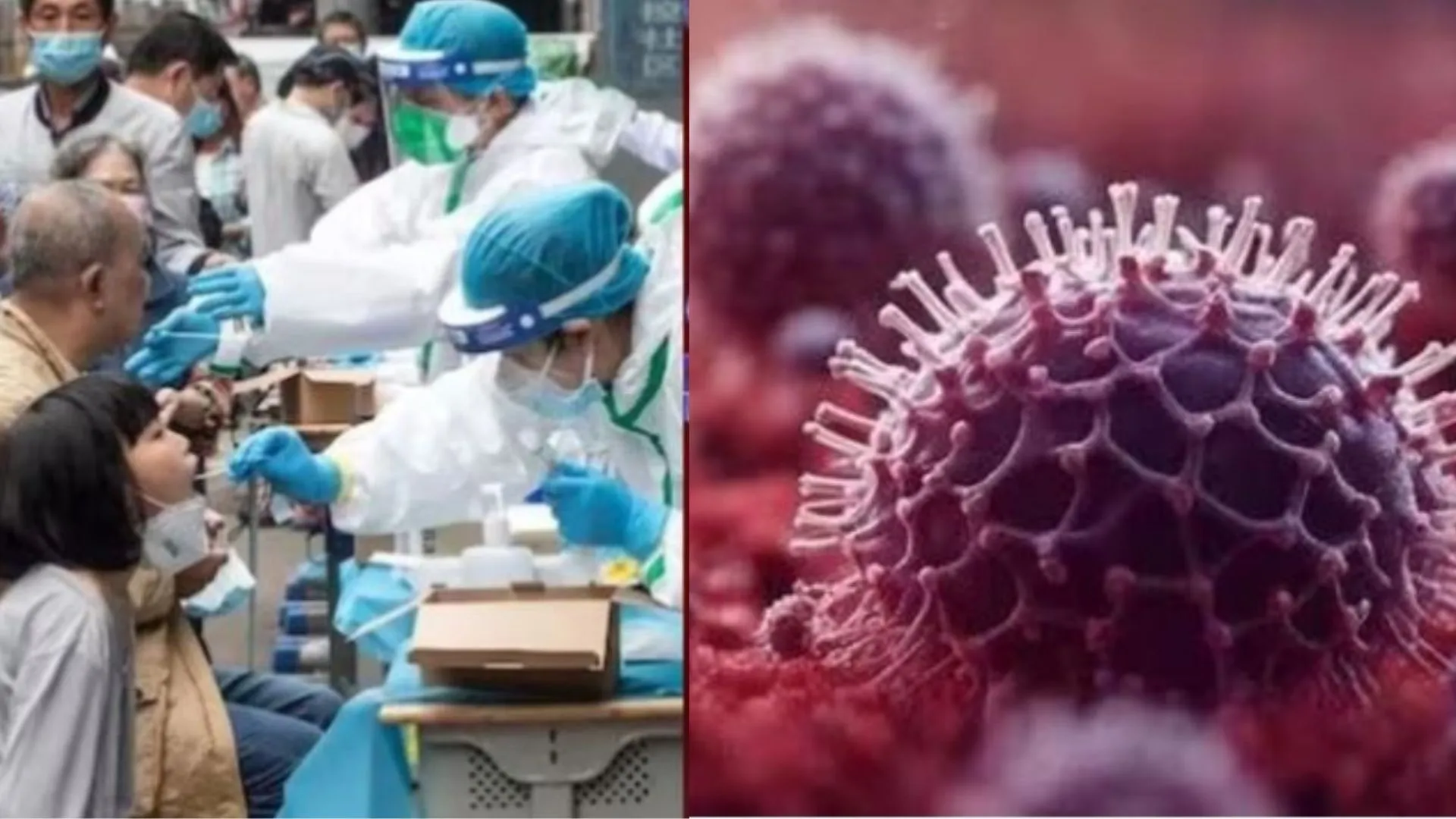 HMPV: Is it a Harbinger of COVID 19 ?  Causes and Cure
