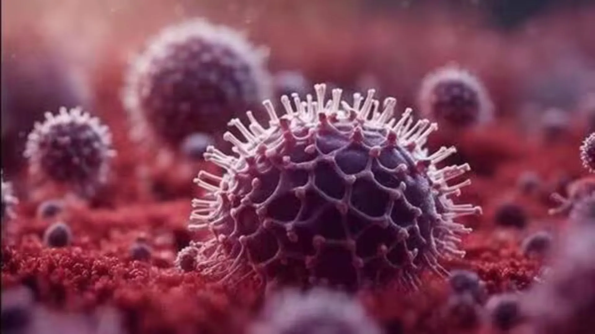 HMPV in China: Symptoms and Facts About China’s Latest Virus