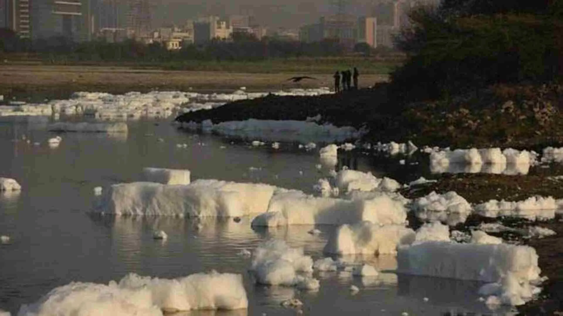 High Court slaps Rs 50,000 cost on Haryana Pollution Board