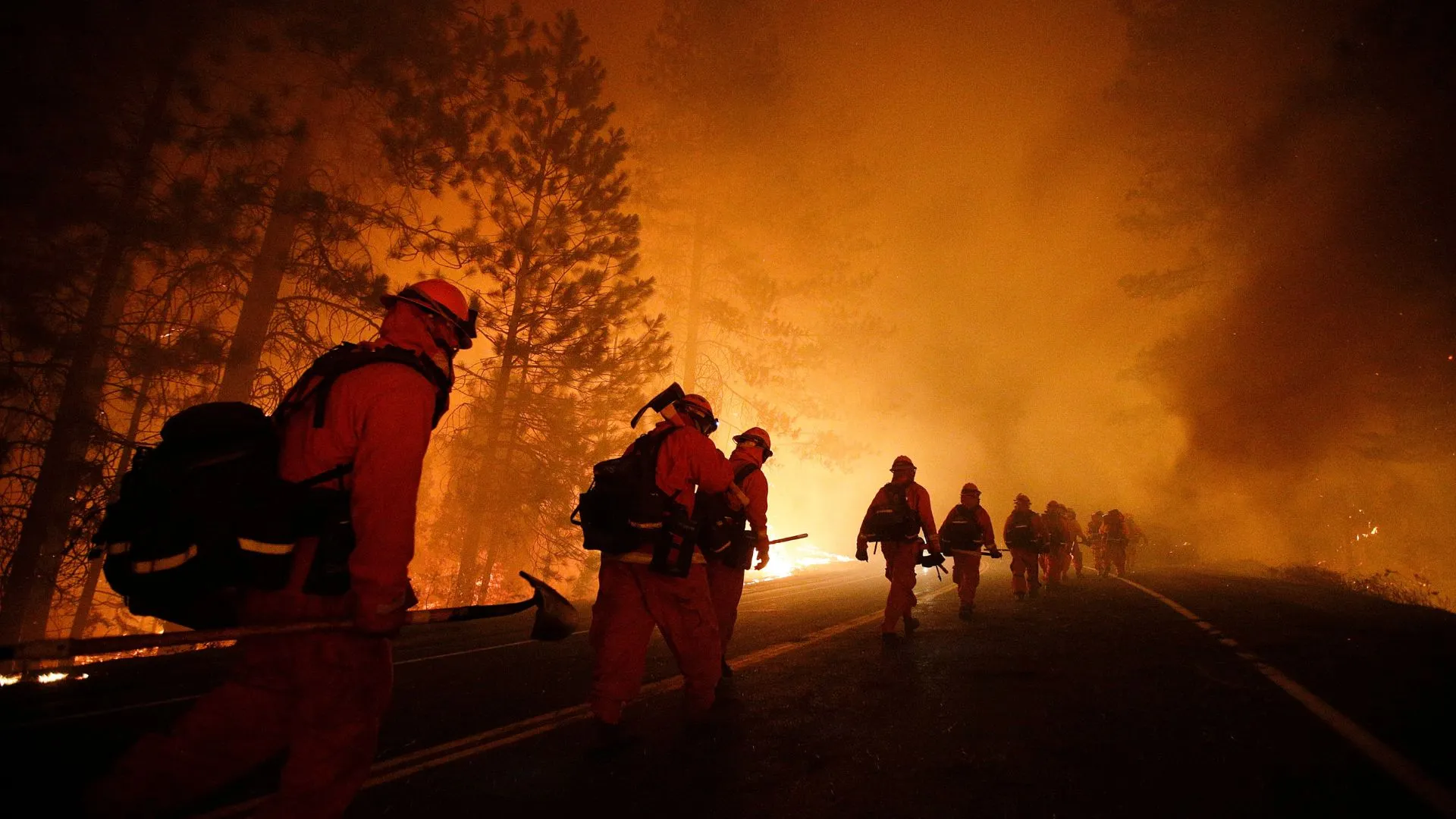 Inmates Battle LA Wildfires for  an Hour, Risking Lives on the Frontlines