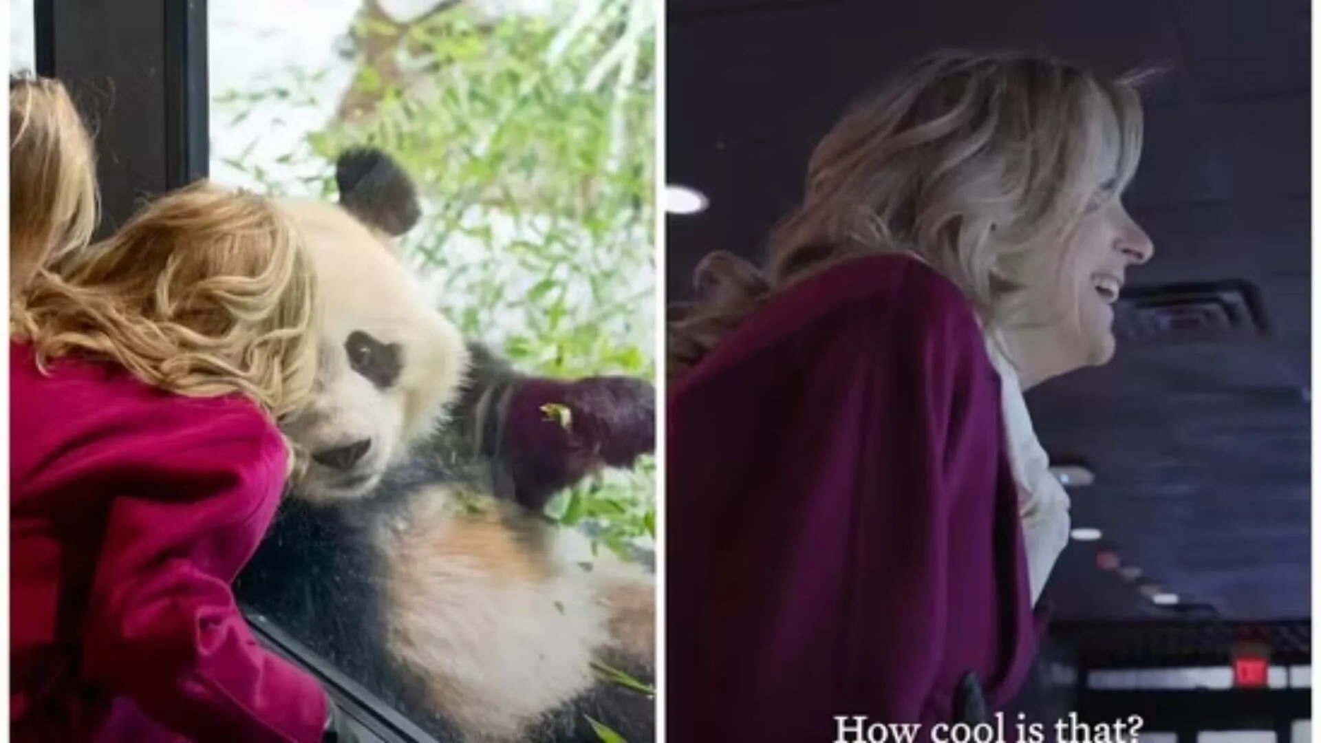 Jill Biden Brings Hunter’s Son to Meet Bao Li and Qing Bao on Final FLOTUS Trip