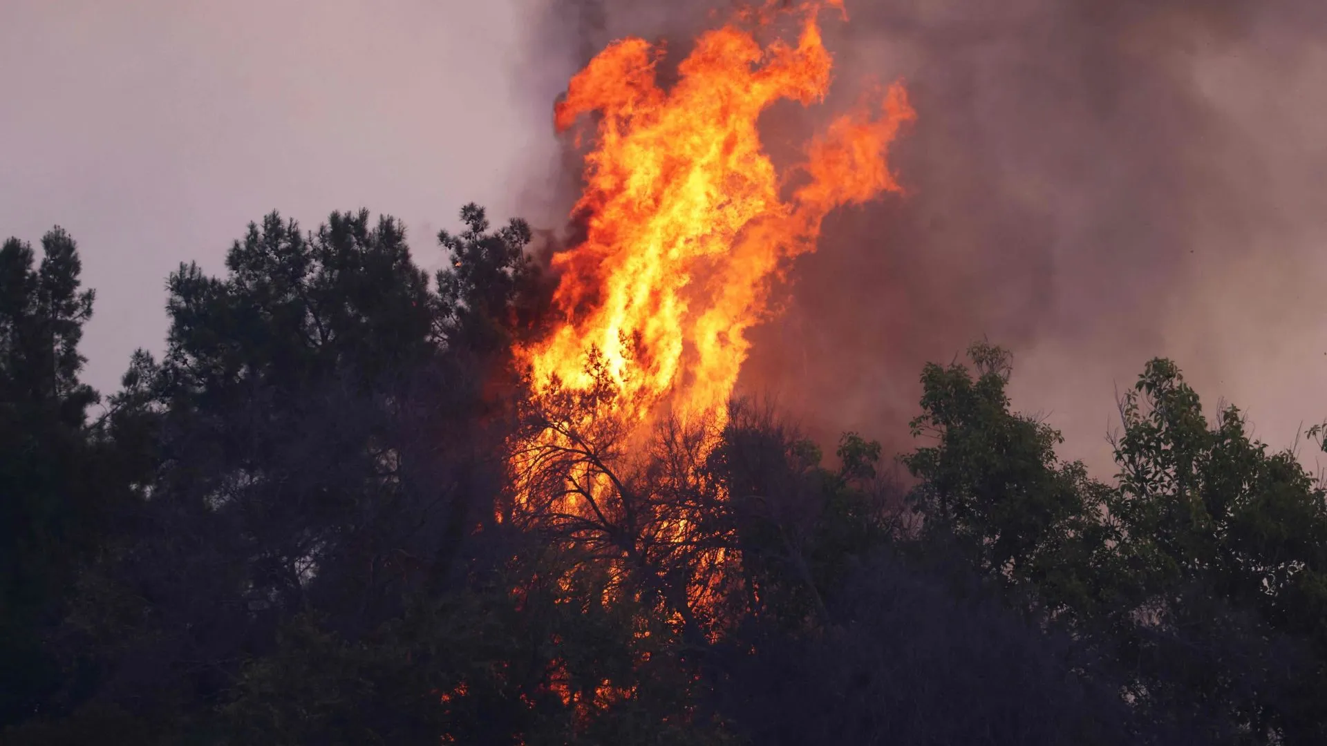 Los Angeles Wildfires Cause Chaos, Yet Air Quality Remains Better Than Delhi’s