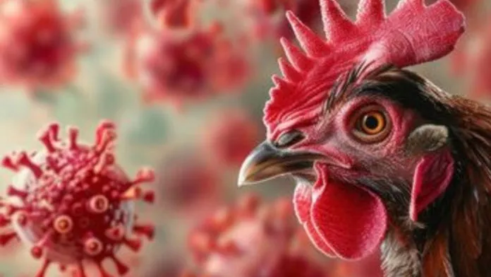 Louisiana Reports First Human Death from Bird Flu in the United States