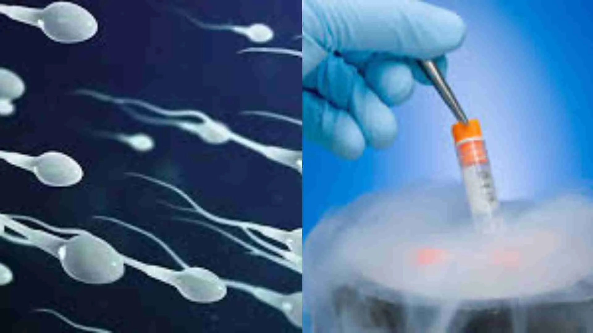 Male Fertility Crisis: What Is Sperm Freezing? Why It Is Gaining Popularity?