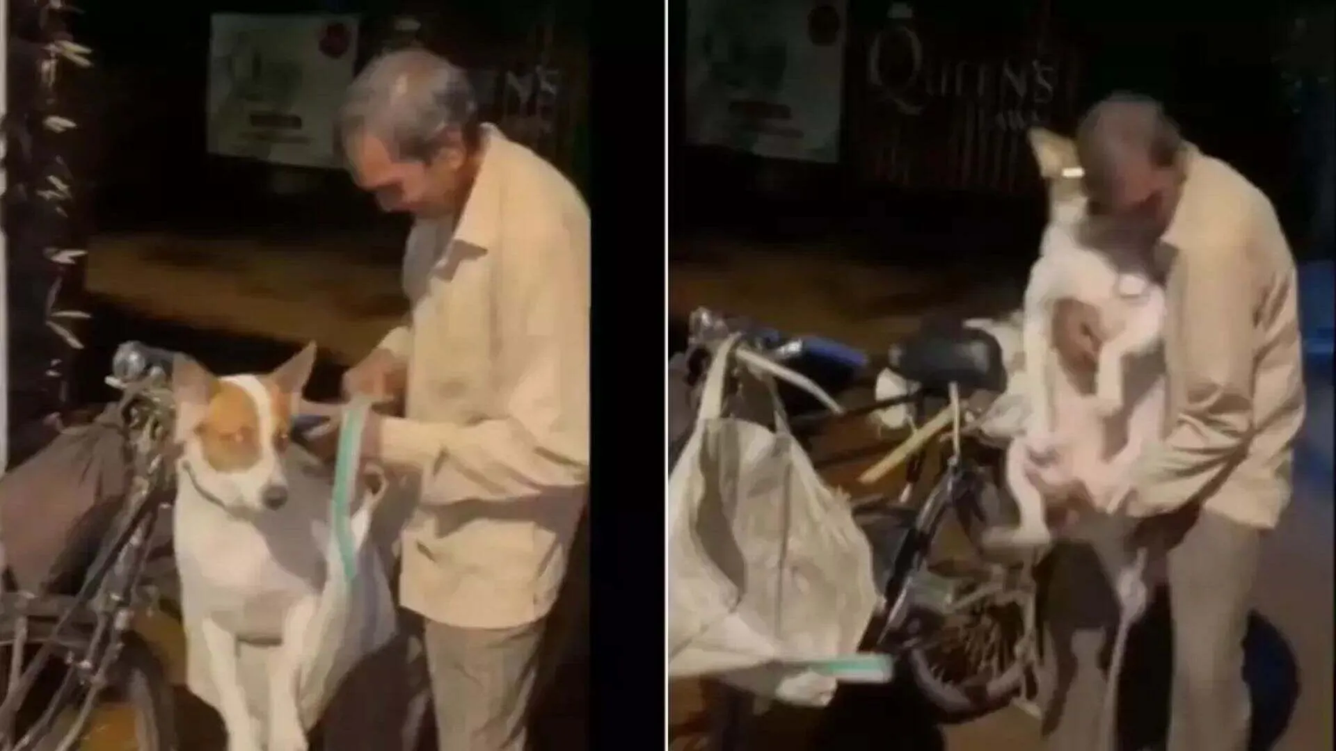 This Mumbai Watchman Cycles 20 Km Daily with His 30 kg Dog | WATCH