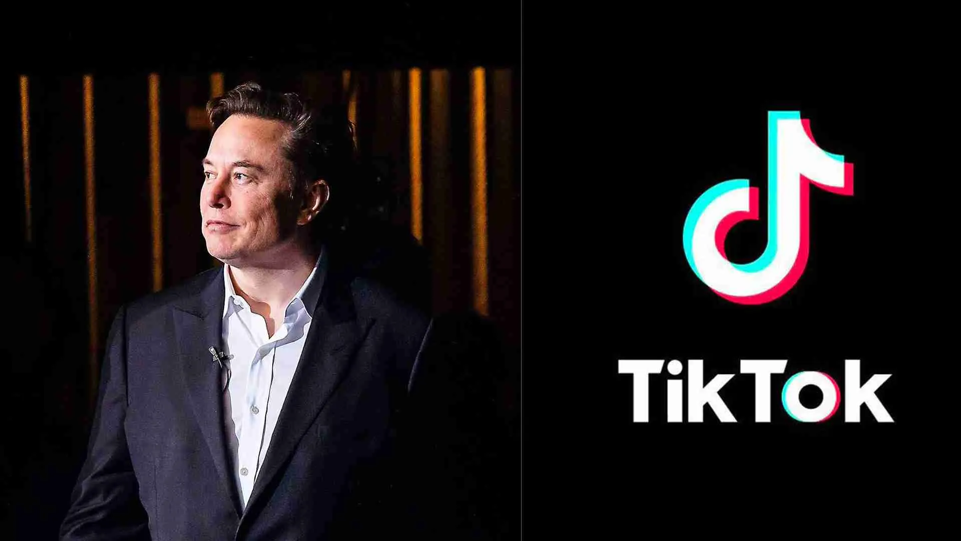 Musk Bought Twitter For B: Here’s How Much TikTok Might Cost Elon Musk