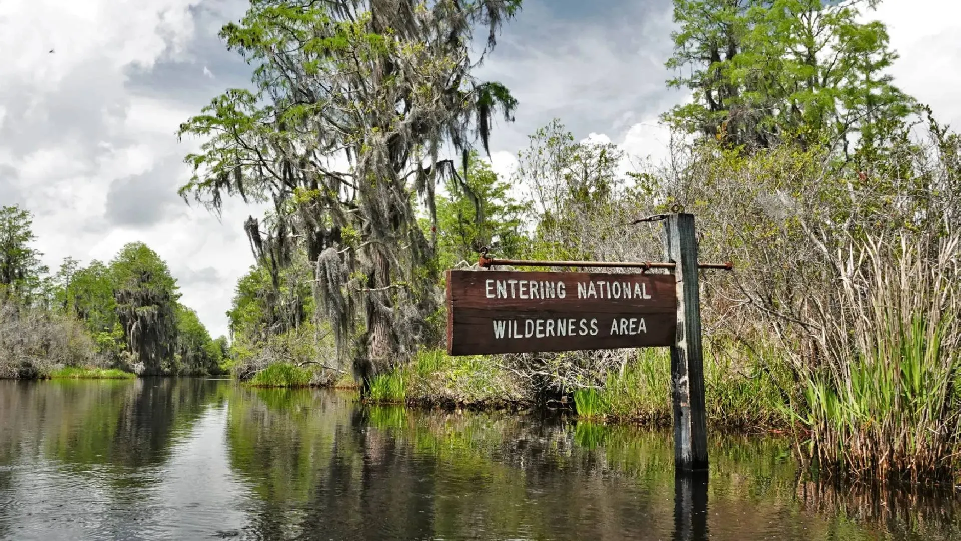 US Fish and Wildlife Service Expands Okefenokee National Wildlife Refuge to Protect Against Mining Threats