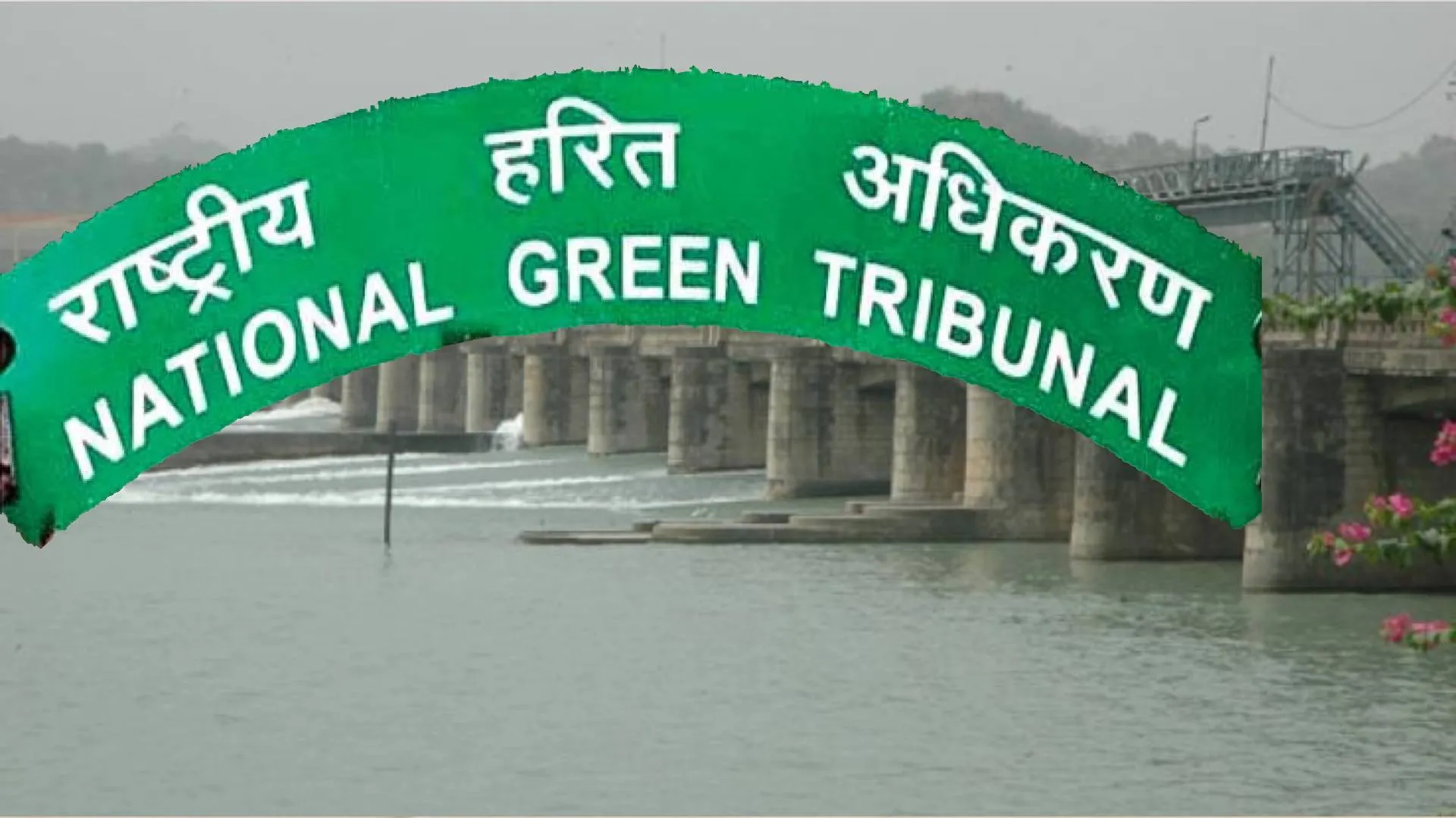Sirhind Canal Expansion Raises Environmental Concerns, NGT Petition Filed