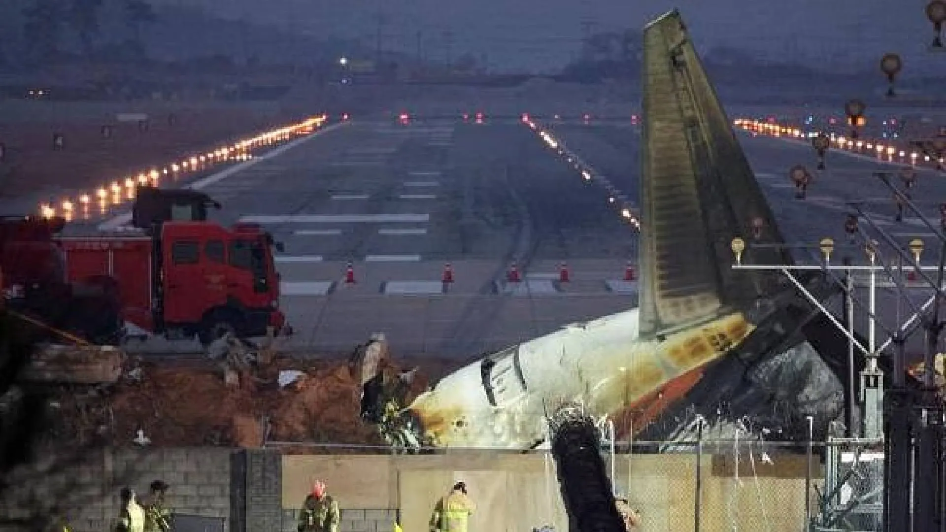 Duck DNA Found in Both Engines of Jeju Air Plane that Crashed