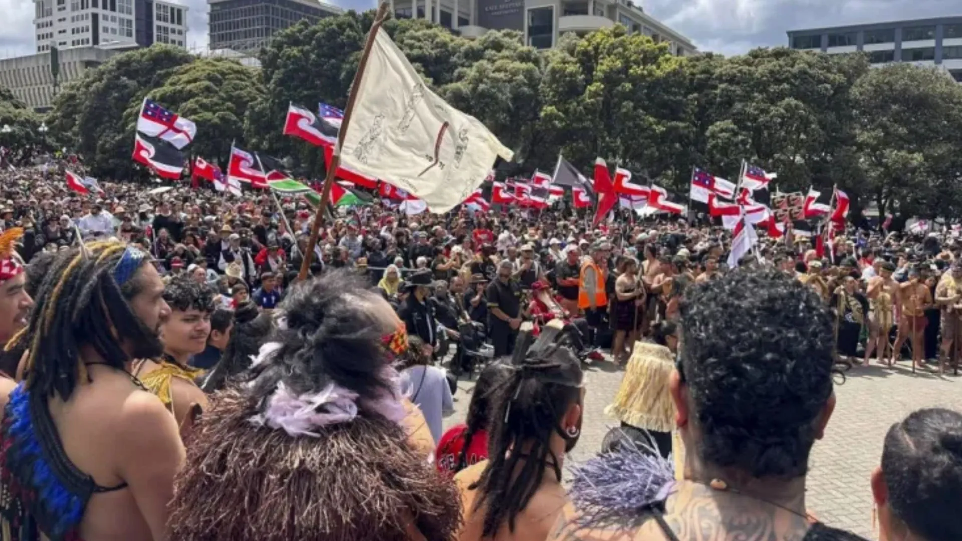 New Zealand MPs Slam Bill as ‘Misguided’ and ‘Damaging to Māori Rights’