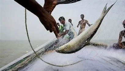 Bangladesh Rejects India’s Claims of Fishermen Mistreatment