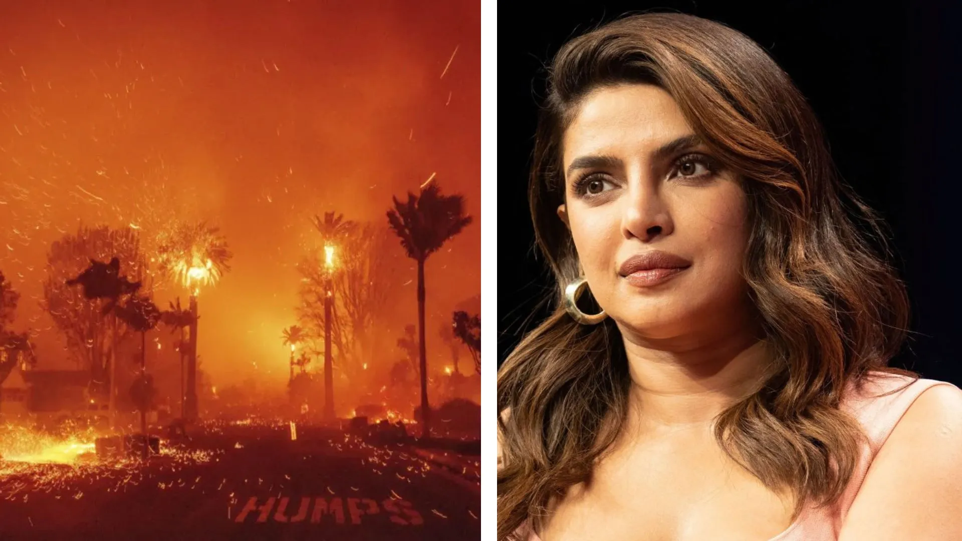 Priyanka Chopra Mourns LA Wildfire Losses, Calls for Aid for Victims